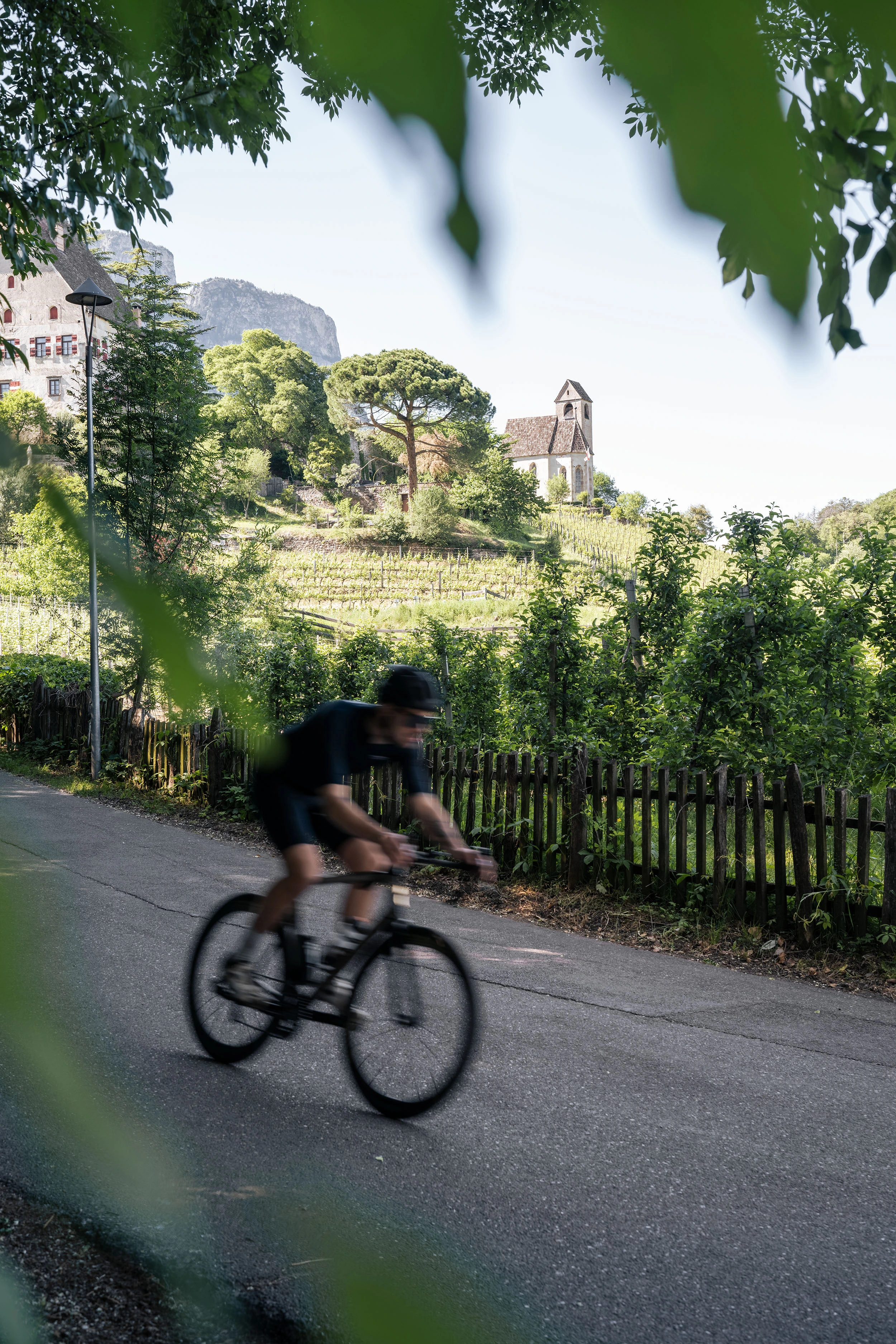WINE & BIKE